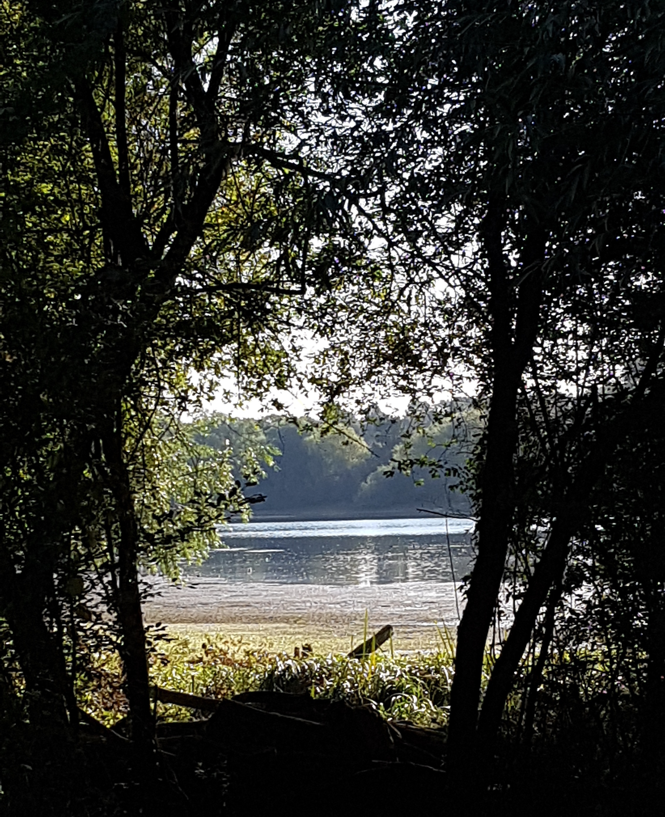 Daventry country park