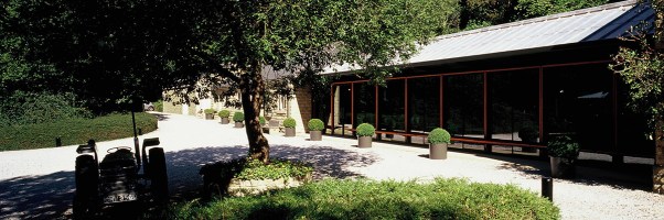 dm-cafe-header-1200x400px