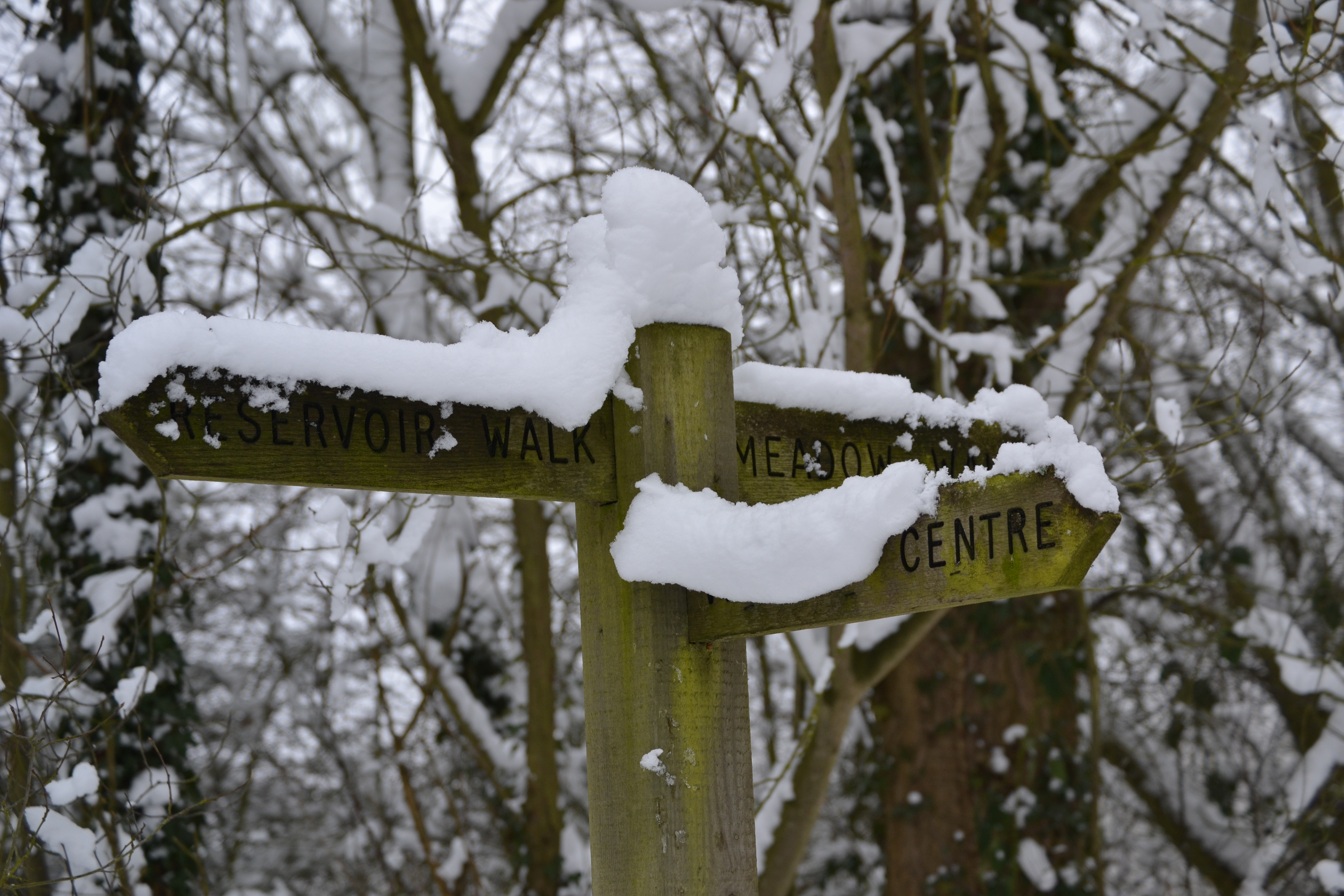 Which way now - Country Park
